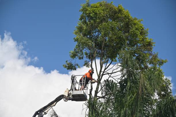 Mulching Services in Hebron, IN